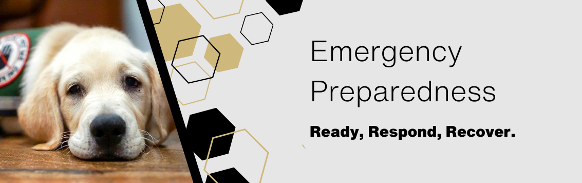 Emergency Preparedness. Ready, Respond, Recover. A service dog. 